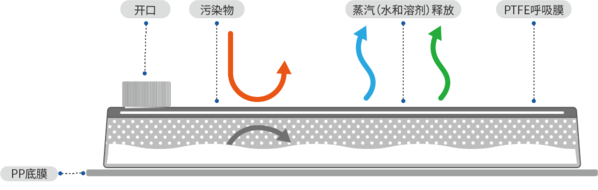 中文.png